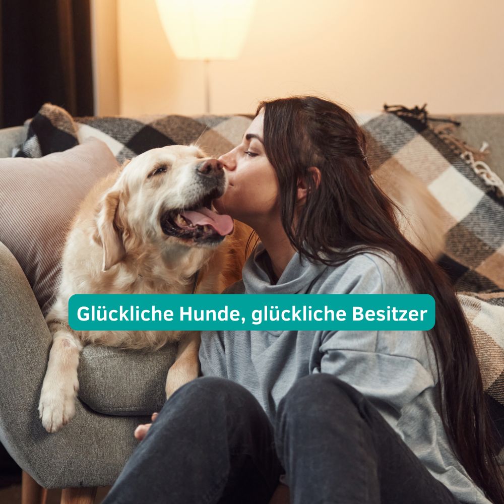 CLICswab Ohren/Augenreiniger für Hunde und Katzen