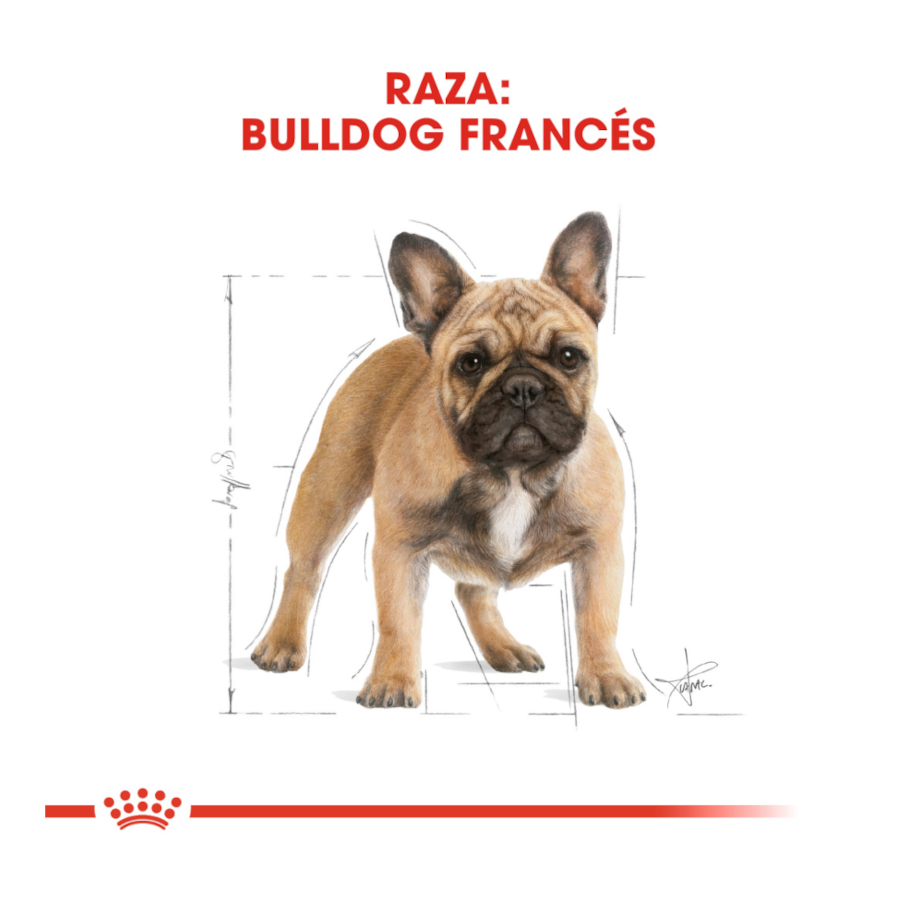 Ração Royal Canin French Bulldog para cães adultos