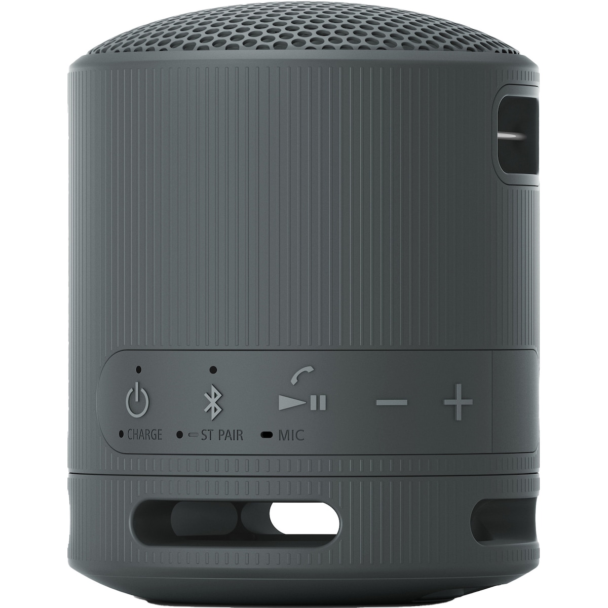 Sony SRS-XB100 bærbar trådløs høyttaler (sort)