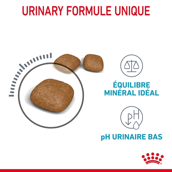 Croquettes chat Adulte santé du système urinaire Urinary 4kg
