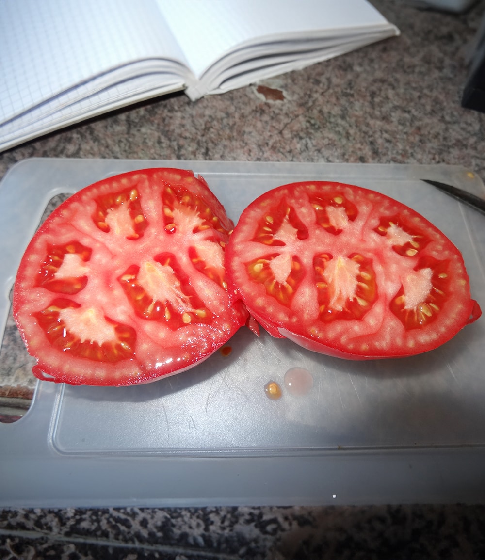 Veredelte Fleischtomate 'Rose Crush' F1