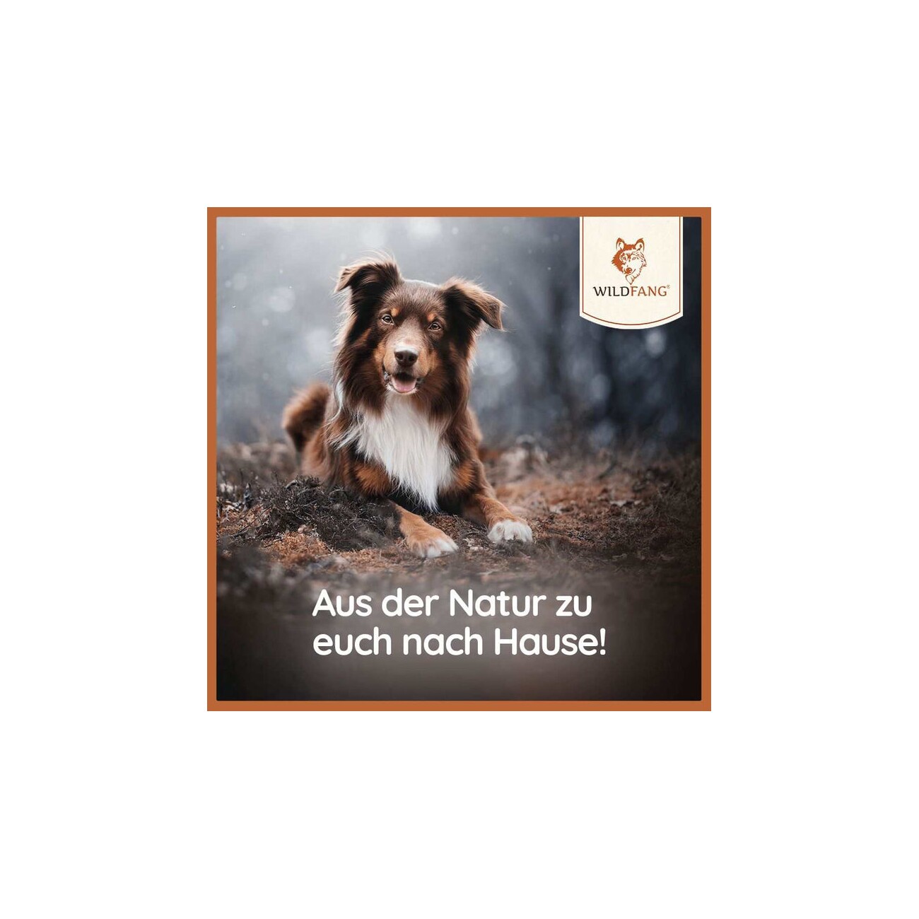 Wildfang ® Damhirsch Kaugeweih S