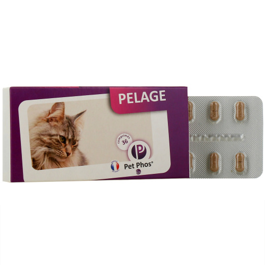 Pet Phos Pelage Chat - Complément Alimentaire