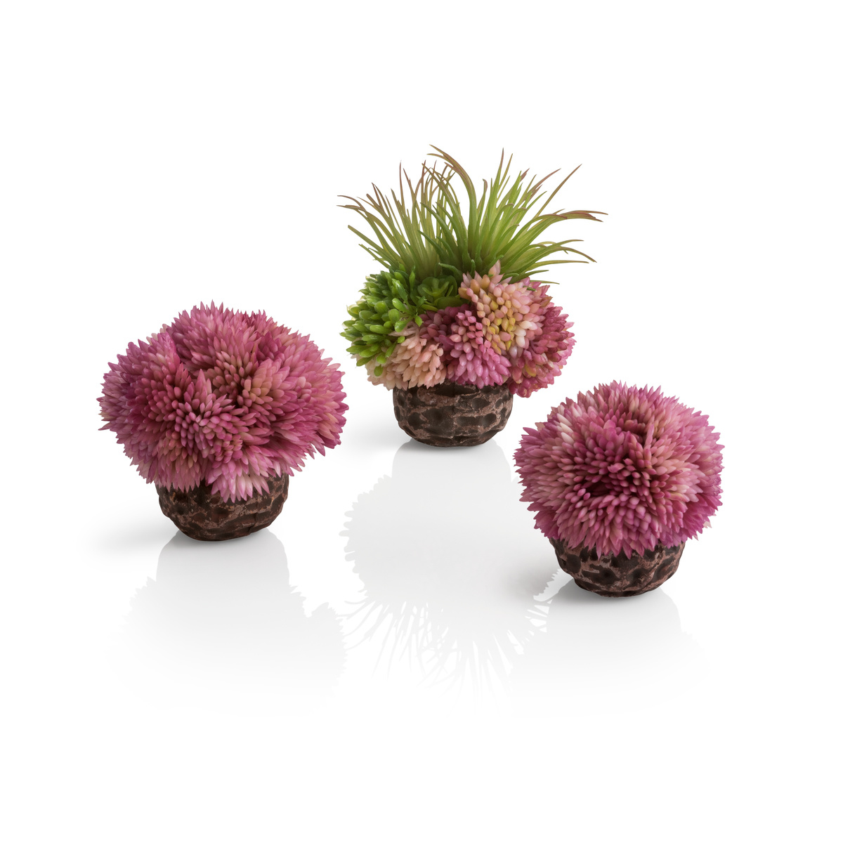 biOrb Koraalbal set paars | Decoratie