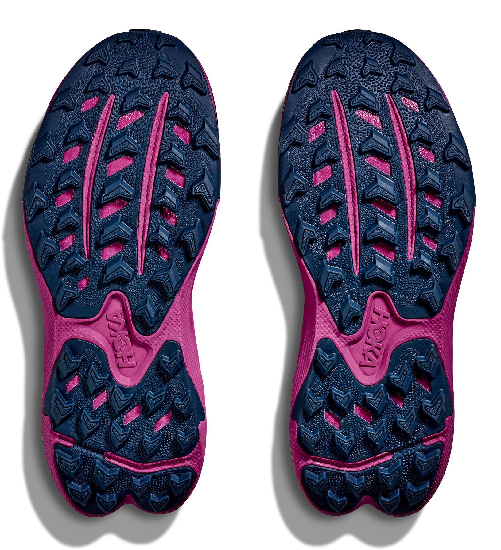 Torrent 4 Dame DFC/Drizzle/Fuchsia