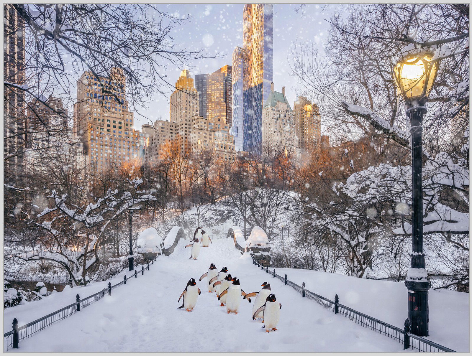 Central Park Penguins by Robert Jahns - Petites - Small Open Edition.
