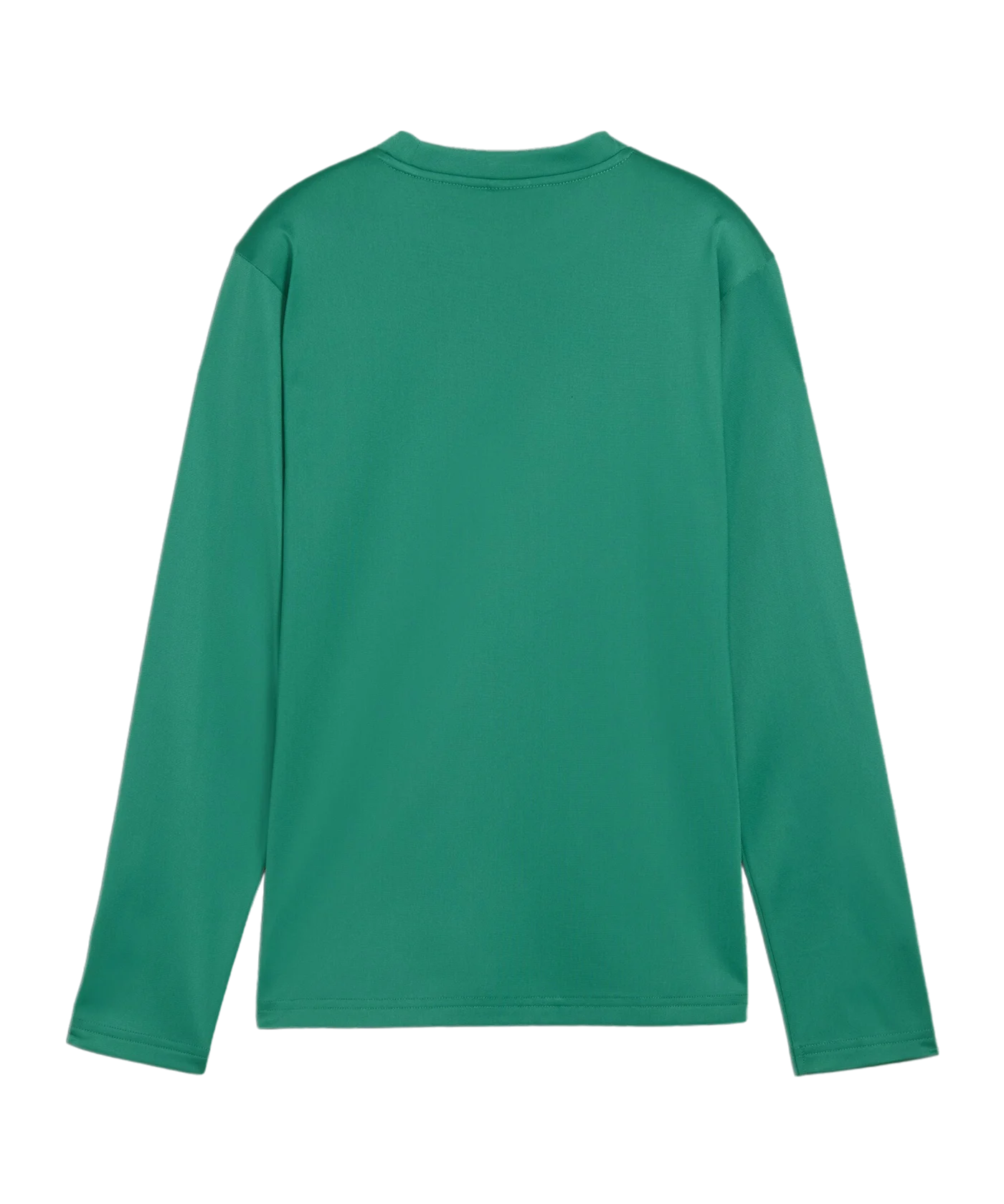 PUMA teamGOAL Training Sweatshirt Kids Grün F05