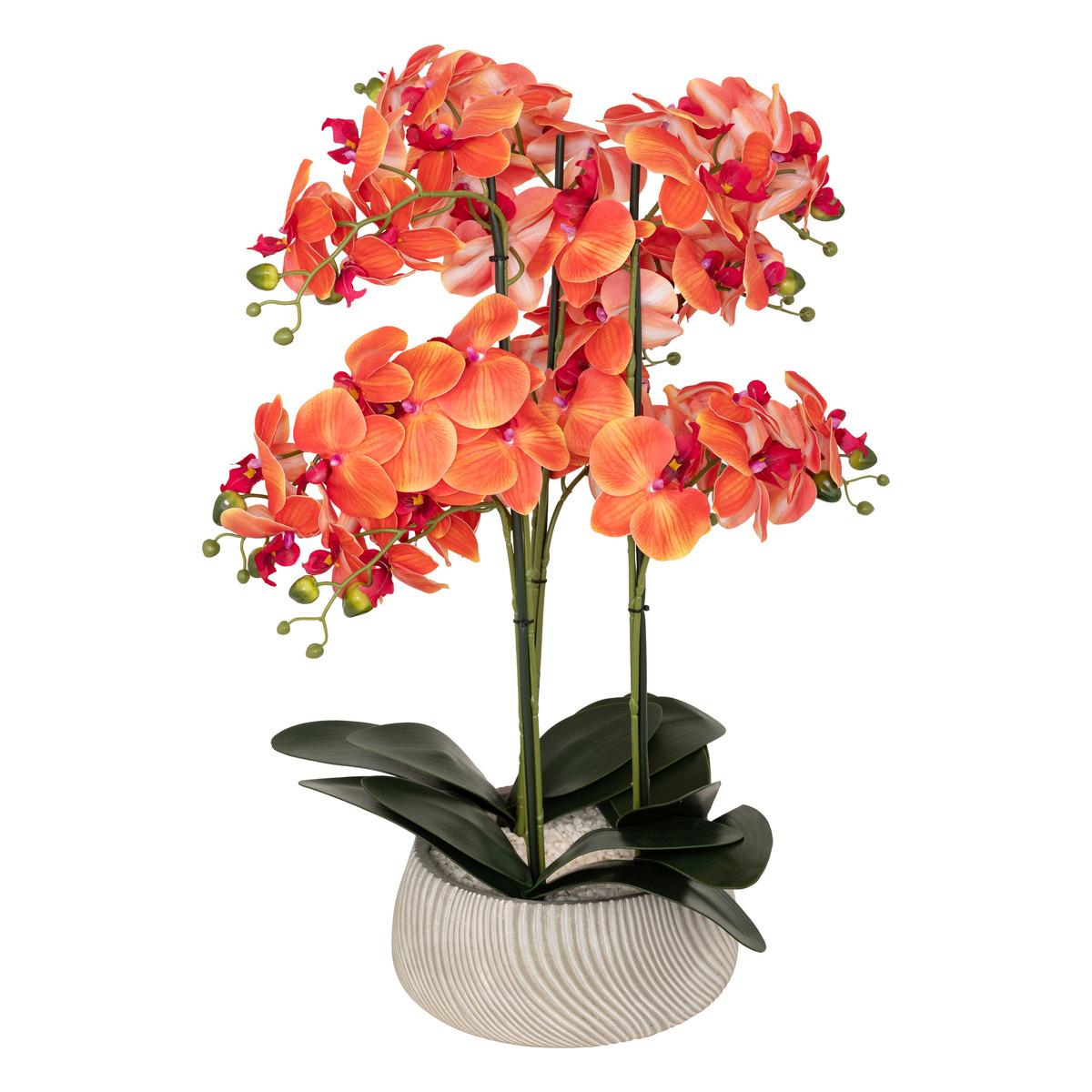 ORCHIDEE POT CIMENT SANAE ORANGE H.65CM