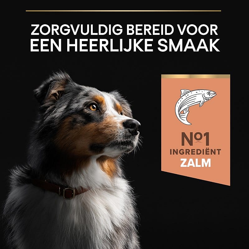 Purina Pro Plan Medium Adult Sensitive Skin Zalm Hondenvoer 14 kg | 12822