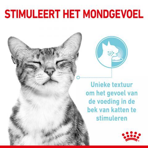 Royal Canin Sensory Multipack - Kattenvoer - 1020 Gram