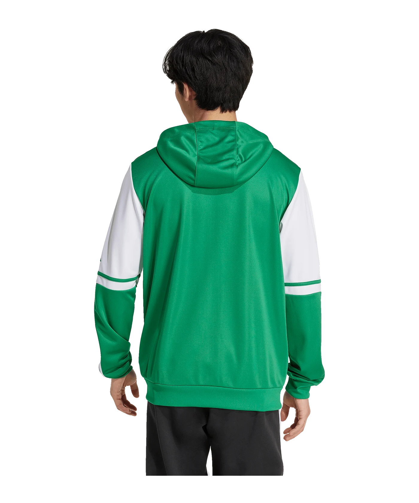 adidas Squadra 25 Kapuzenjacke Grün