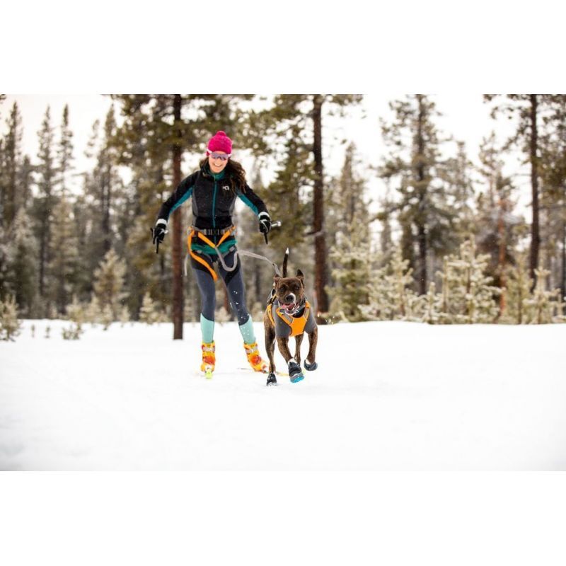Polar Trex - Chaussures pour chien