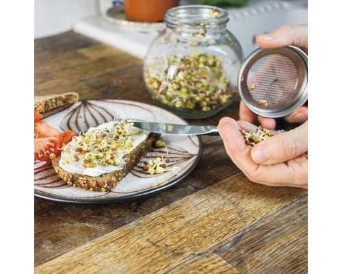 Kiempot mijn oogst incl. startersportie biologische zaden