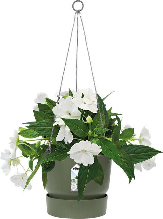 Elho hangpot Greenville groen D 23,5 H 20,5 cm
