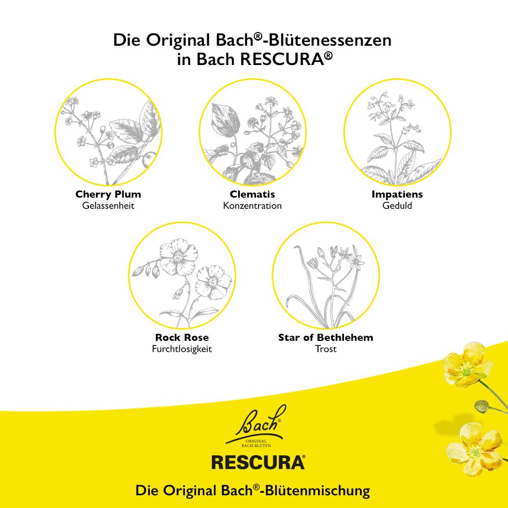Bach® RESCURA™ Original Tropfen alkoholfrei + Night Tropfen alkoholfrei