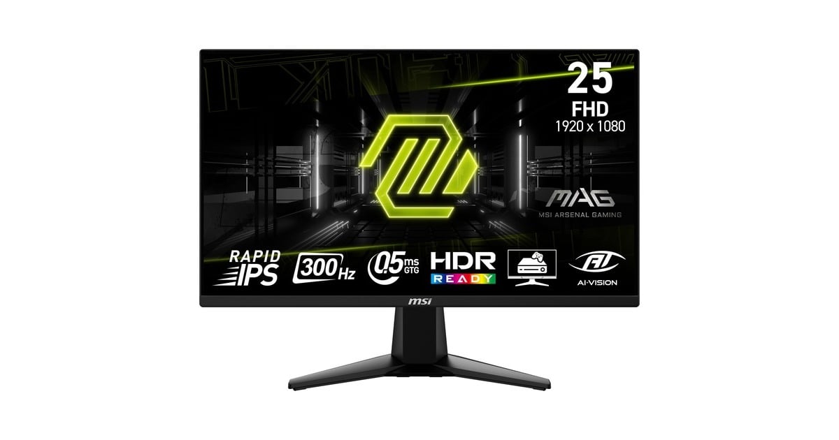 MSIMAG 255XF 24.5