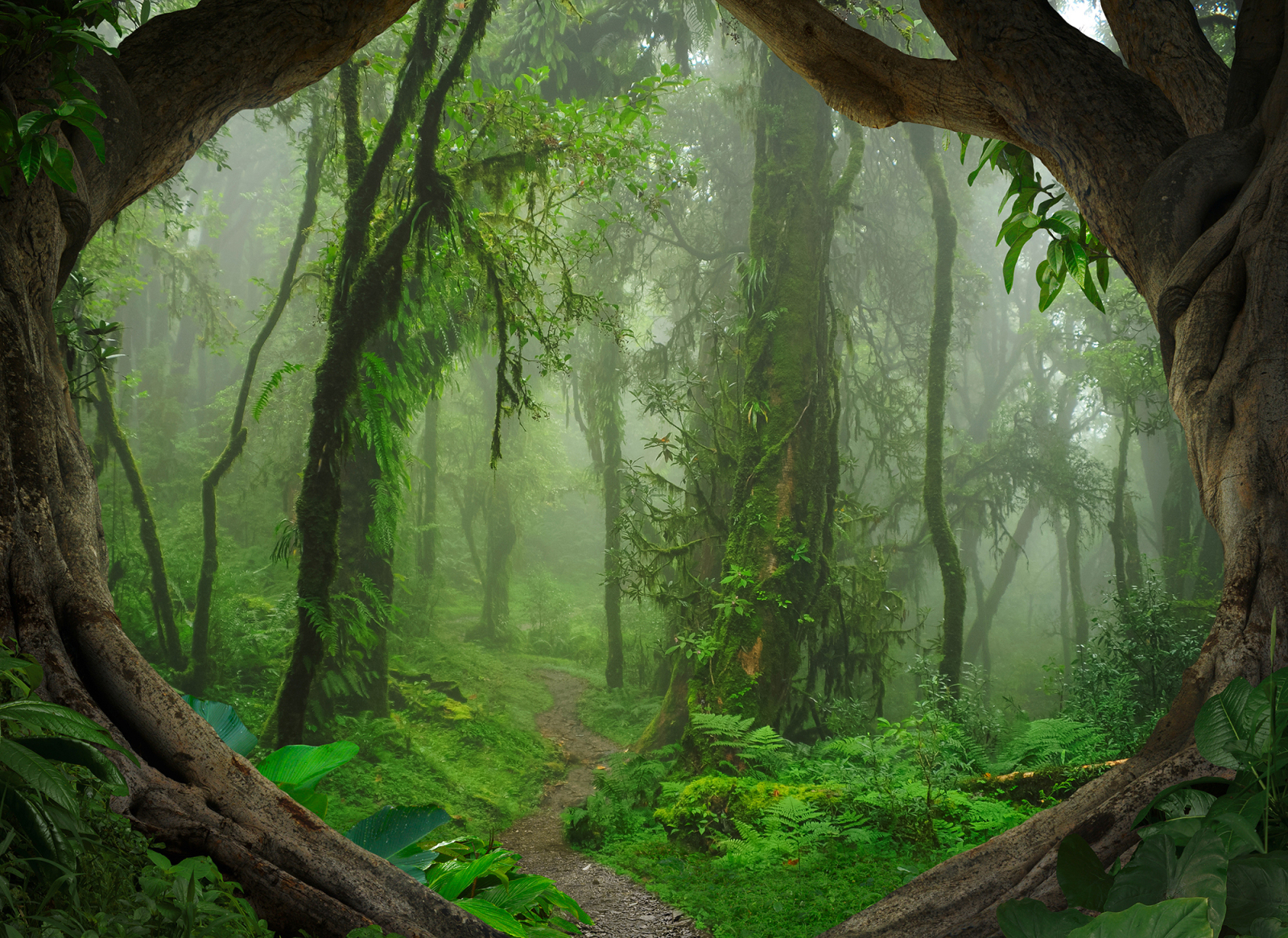 Fototapete DESIGNWALLS - grün-braun - Wald - 2,55 Meter