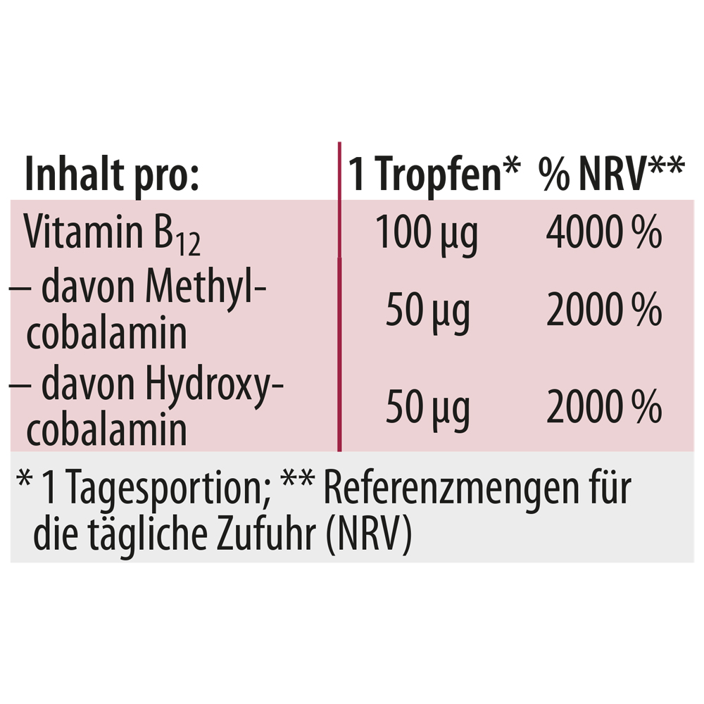 DR. JACOB'S Vitamin B12 100 mcg<br>20 ml, Flasche, Tropfen, Methylcobalamin vegan