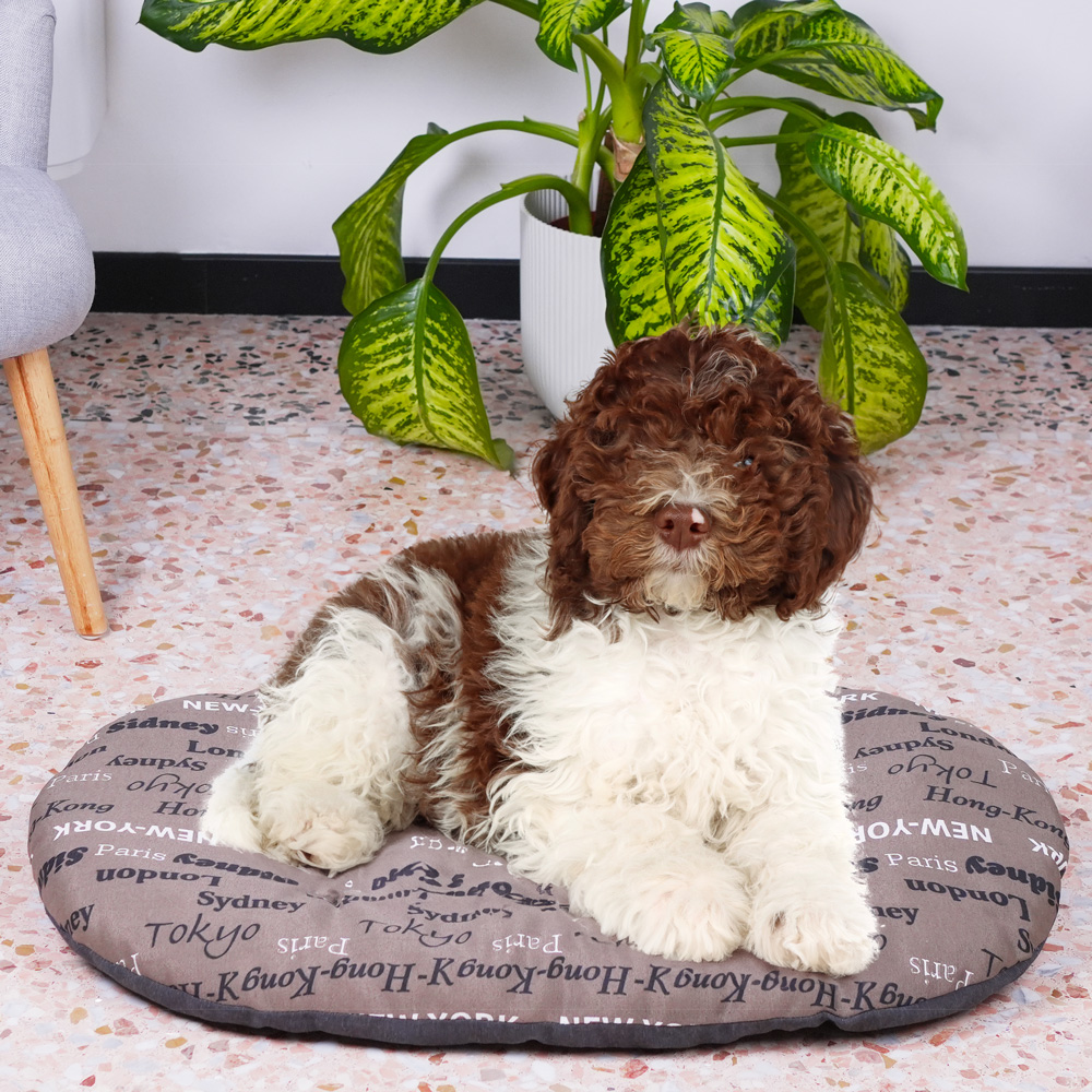 Ferplast panier chien chat - coussin pour chien chat - lavable en machine - tapis chien chat pour niches et voitures - lit pour