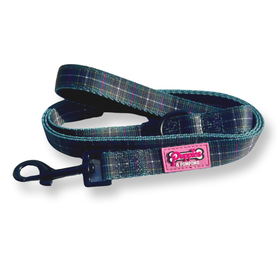 Coleira para cães - Tartan de caça da Cornualha