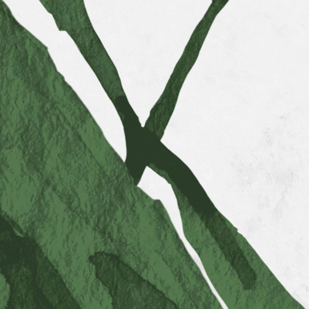 Komar Fototapete »Digitaldruck Vlies -  Botanic Harmony - Grösse 500 x 250 cm« bedruckt glatt Wohnzimmer, Schlafzimmer
