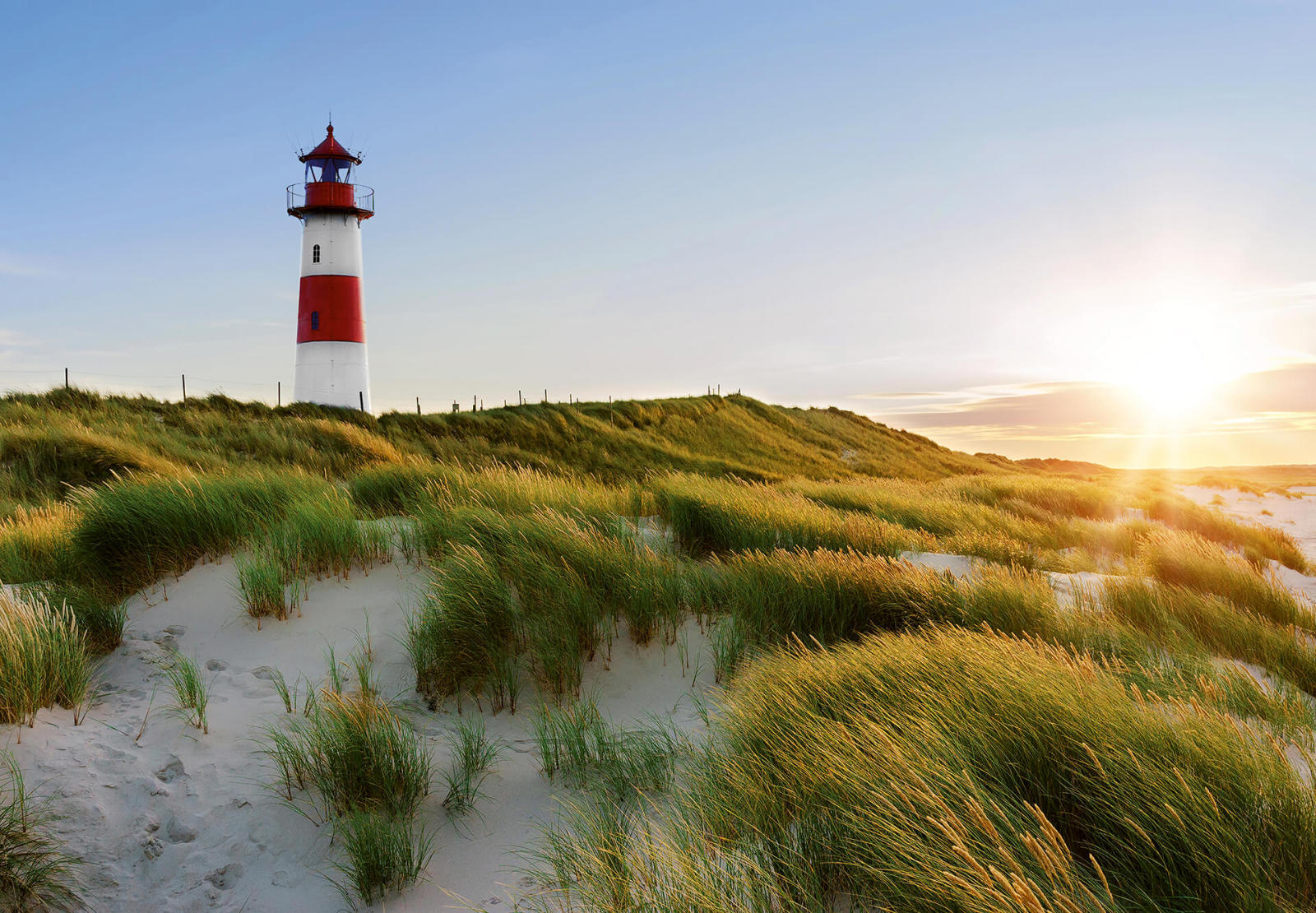 Fototapete DESIGNWALLS 2.0 - grün-rot - Leuchtturm - 2,5 Meter