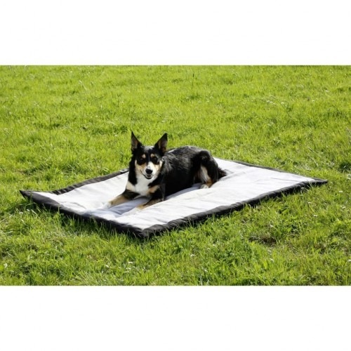 Cobertor de viagem para cães cinzentos