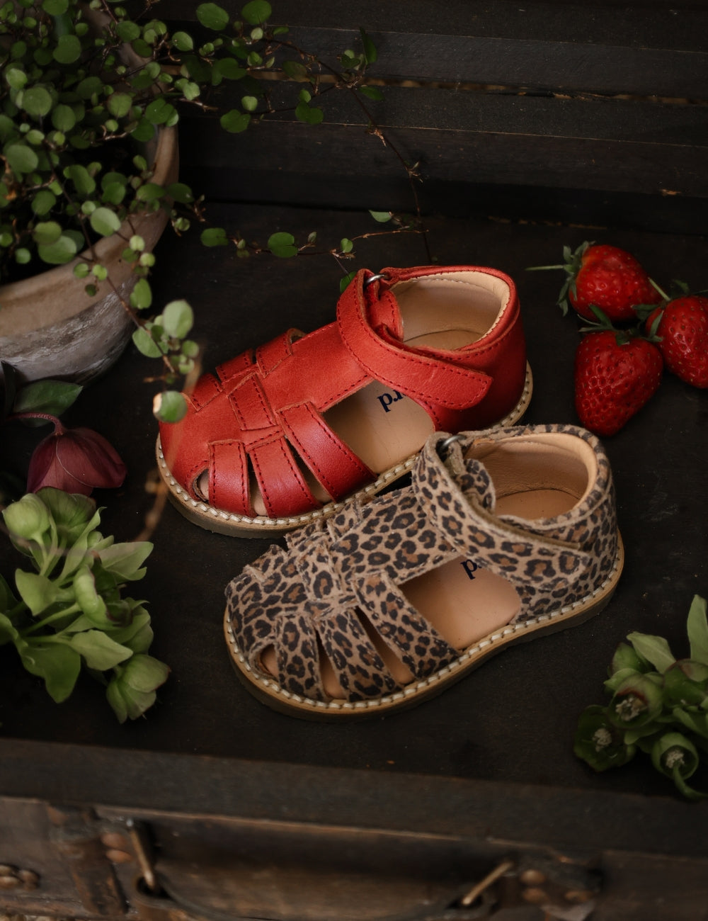 Classic Sandal - Cheetah