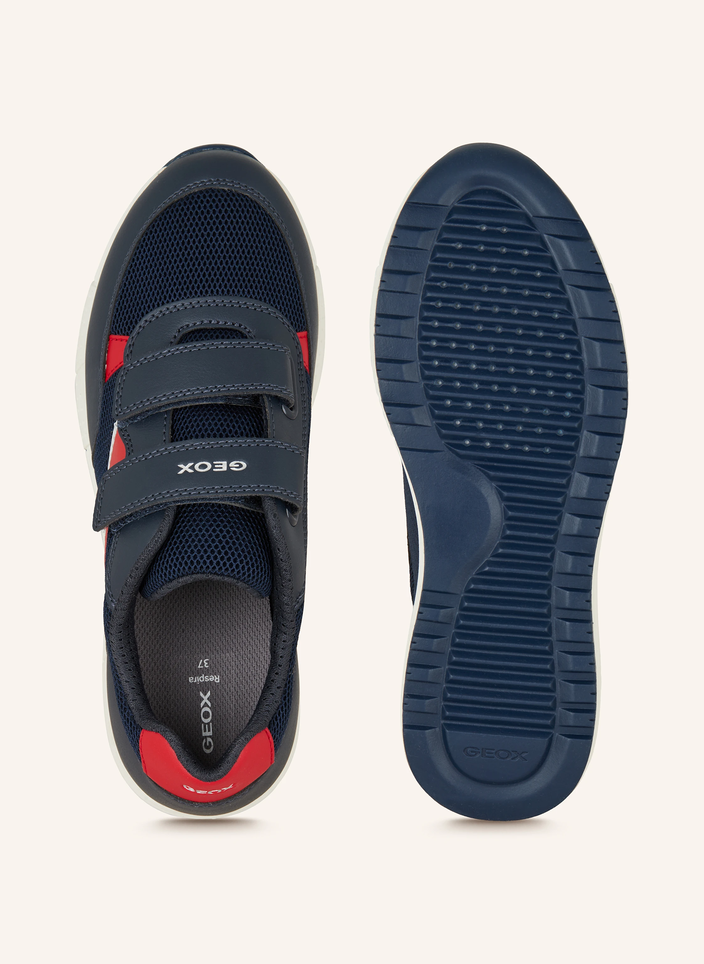 GEOX Sneaker ALBEN