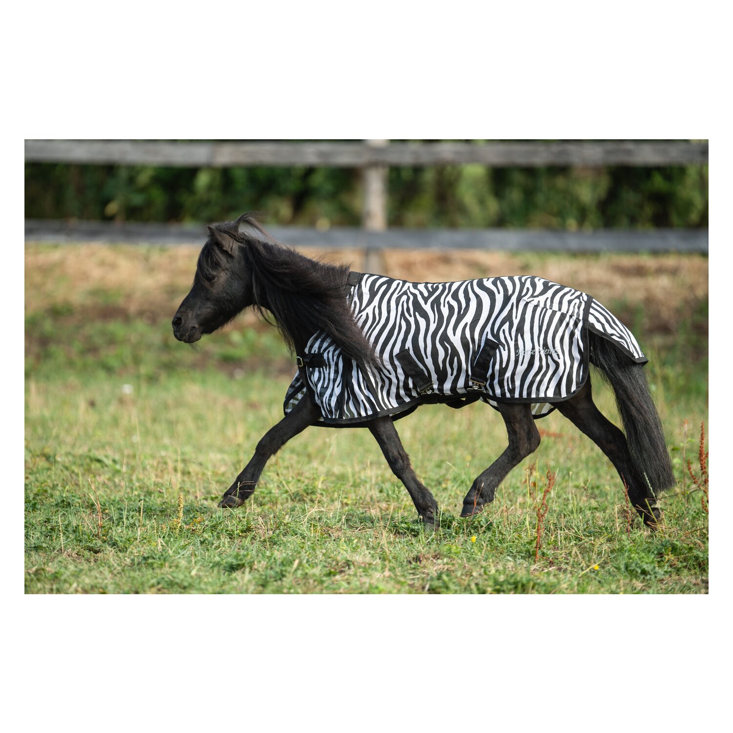 Horse-friends Fliegendecke für Shetty und Pony  - zebra