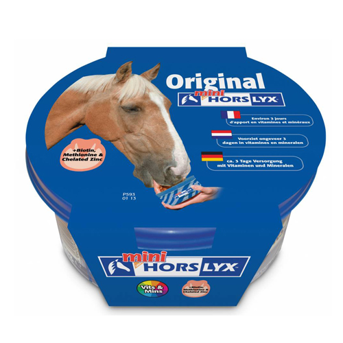 Horslyx Mini Liksteen