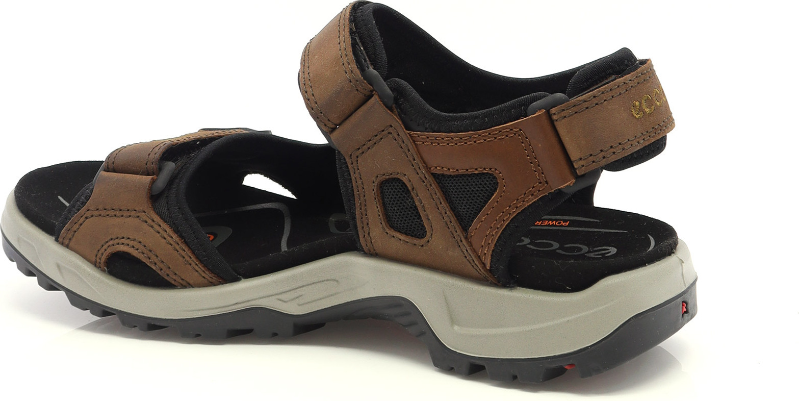 81452 ECCO