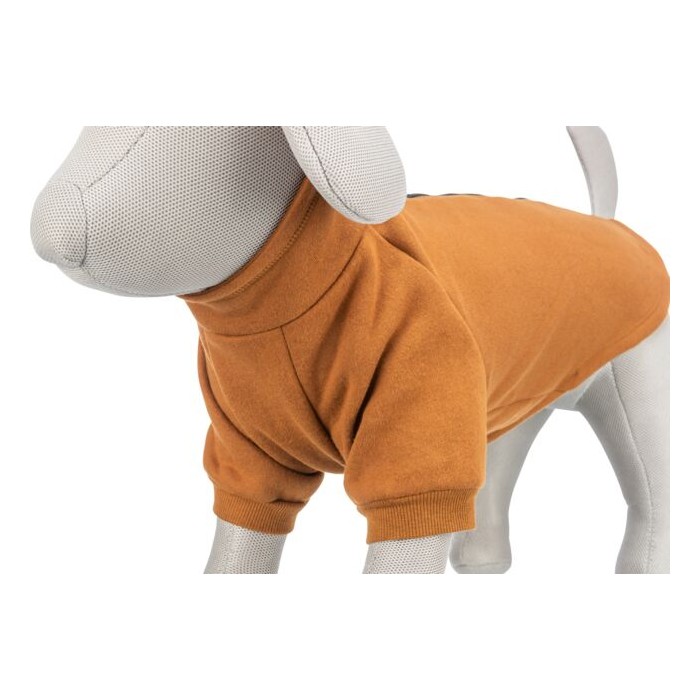 Sweat CityStyle Amsterdam - Orange rouille