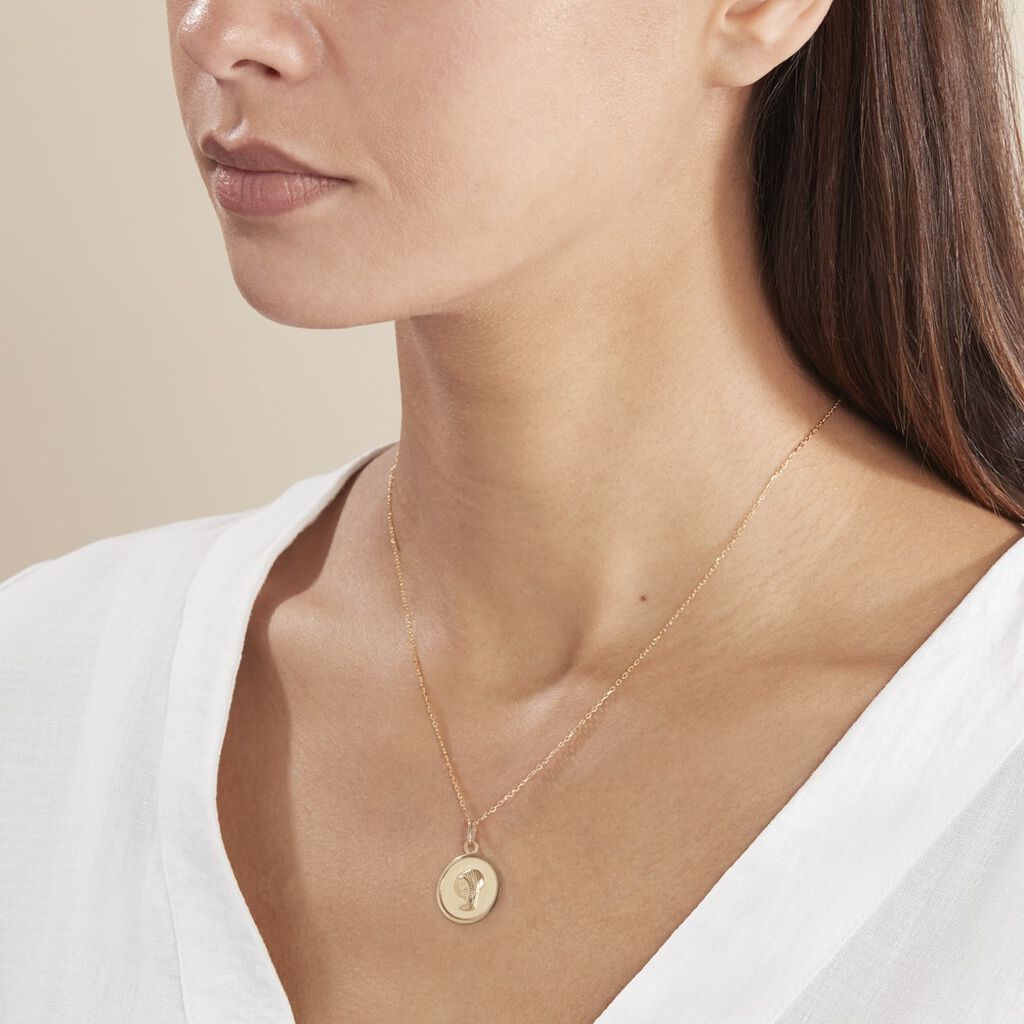 Pendentif Vierge Rond Or Jaune