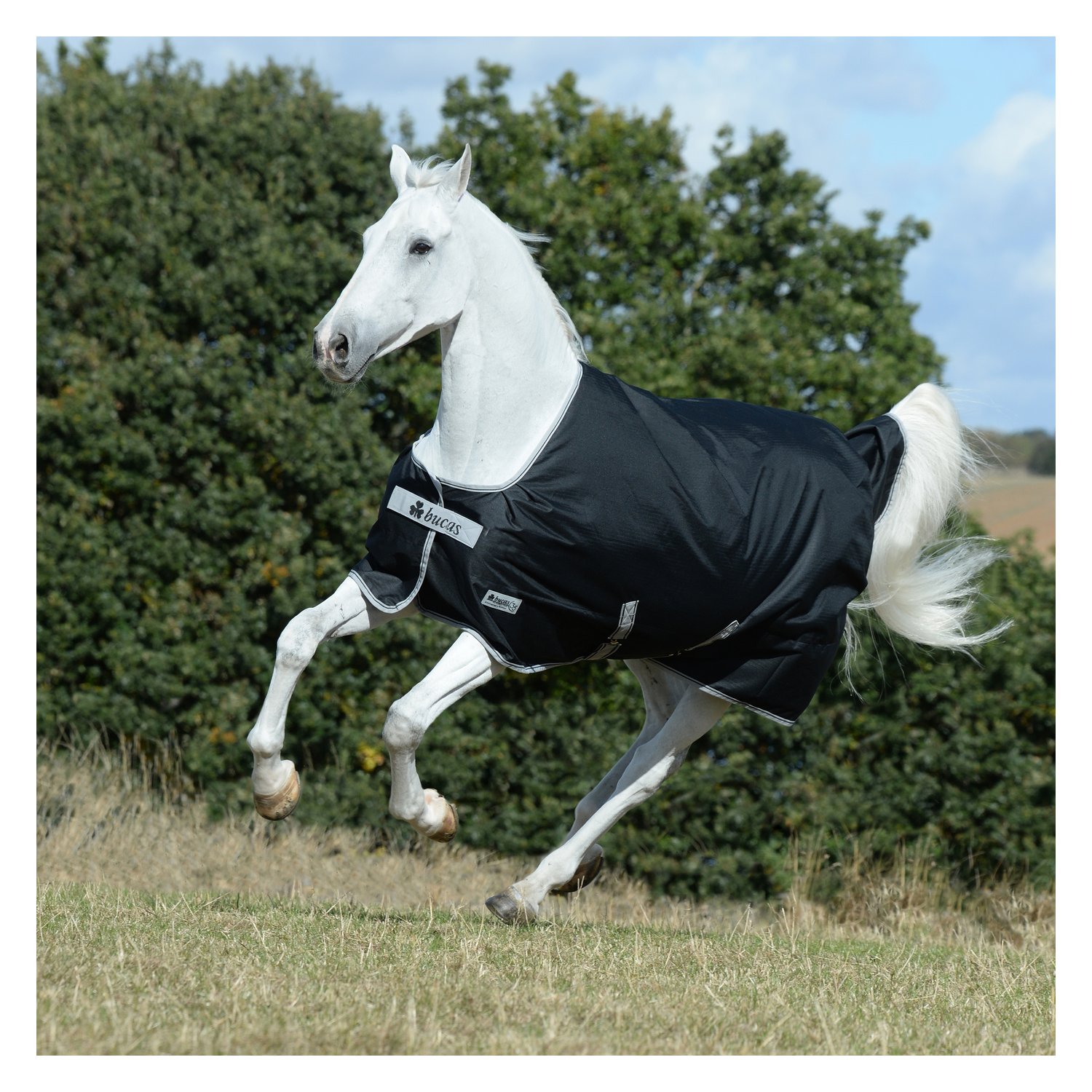 bucas Outdoordecke Anniversary Black Turnout Light - black