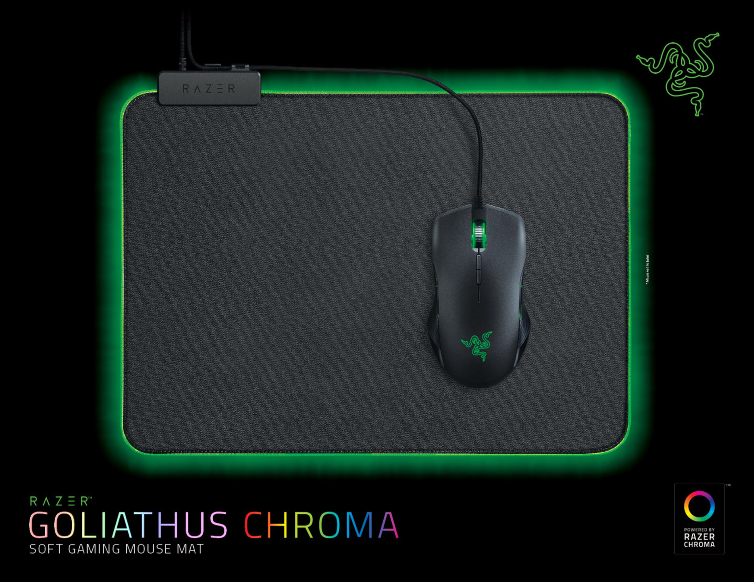 Goliathus Chroma