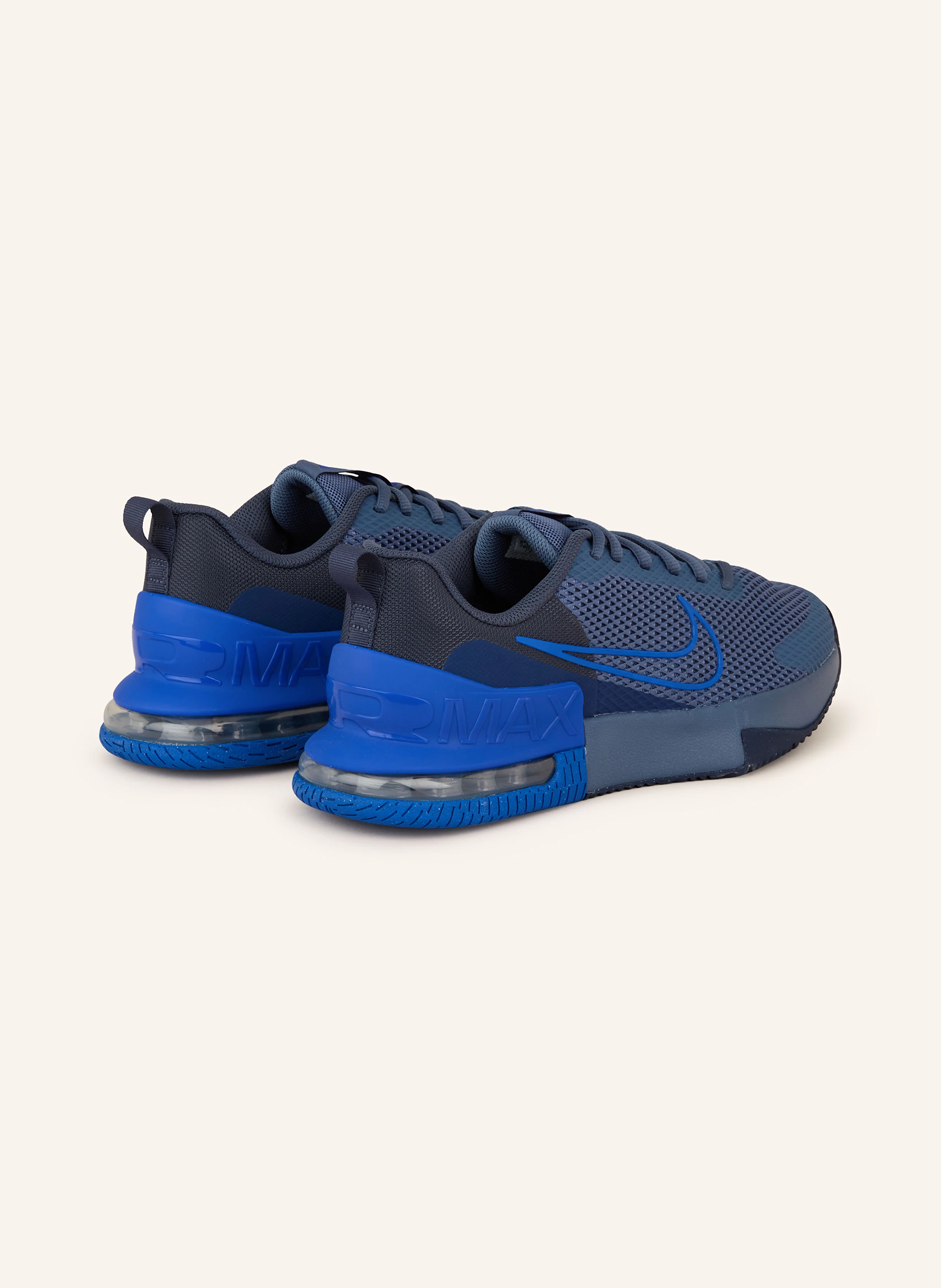 Nike Fitnessschuhe AIR MAX ALPHA TRAINER 6