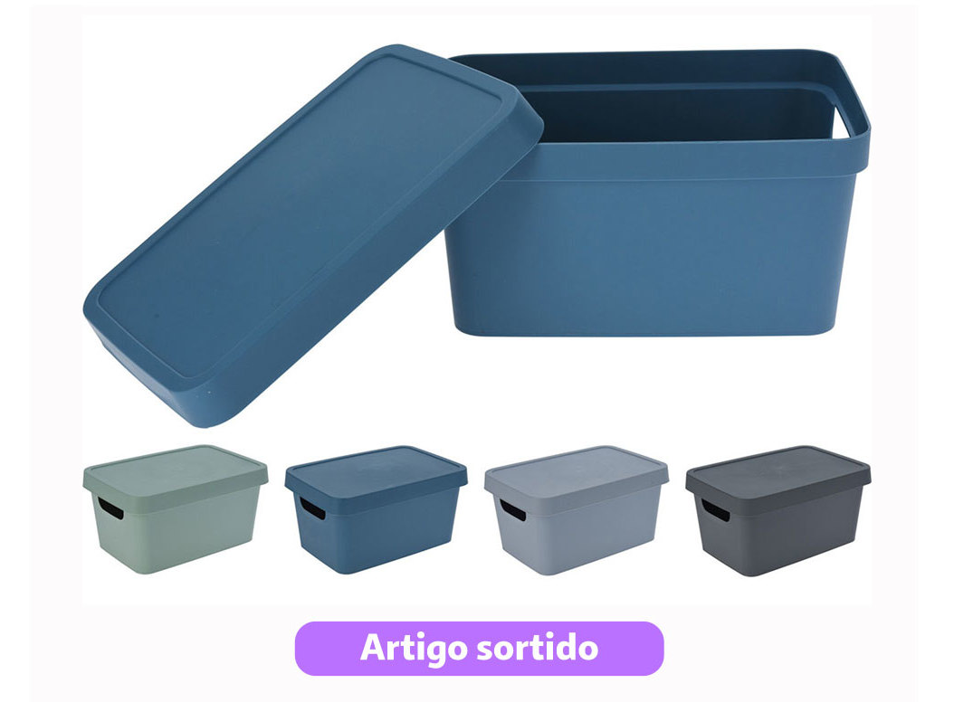 CAIXA PARA ARRUMAÇÃO COM TAMPA 24.5X16.5X12CM CORES SORTIDAS