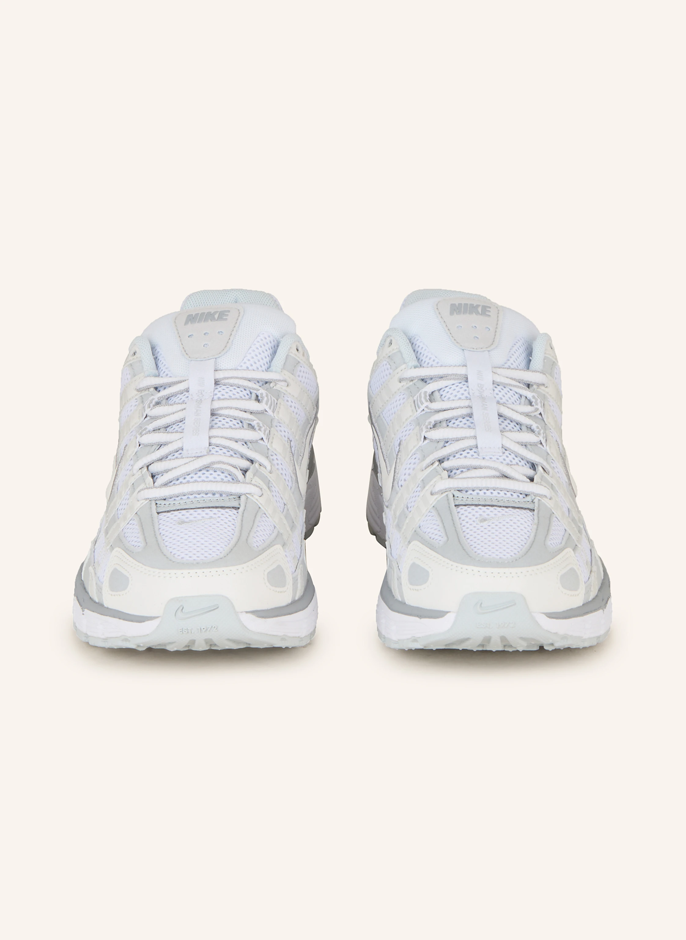 Nike Sneaker P-6000