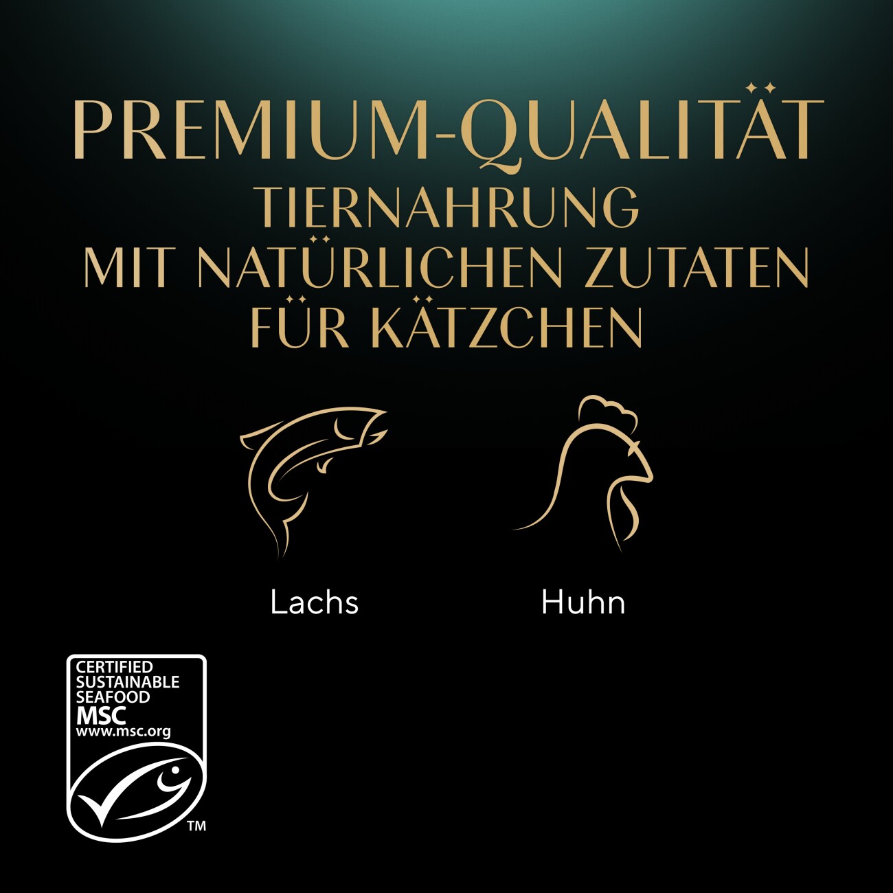 Sheba Multipack Mega-Pack Kitten in Sauce Feine Vielfalt mit Lachs, mit Huhn MSC 40x85 g