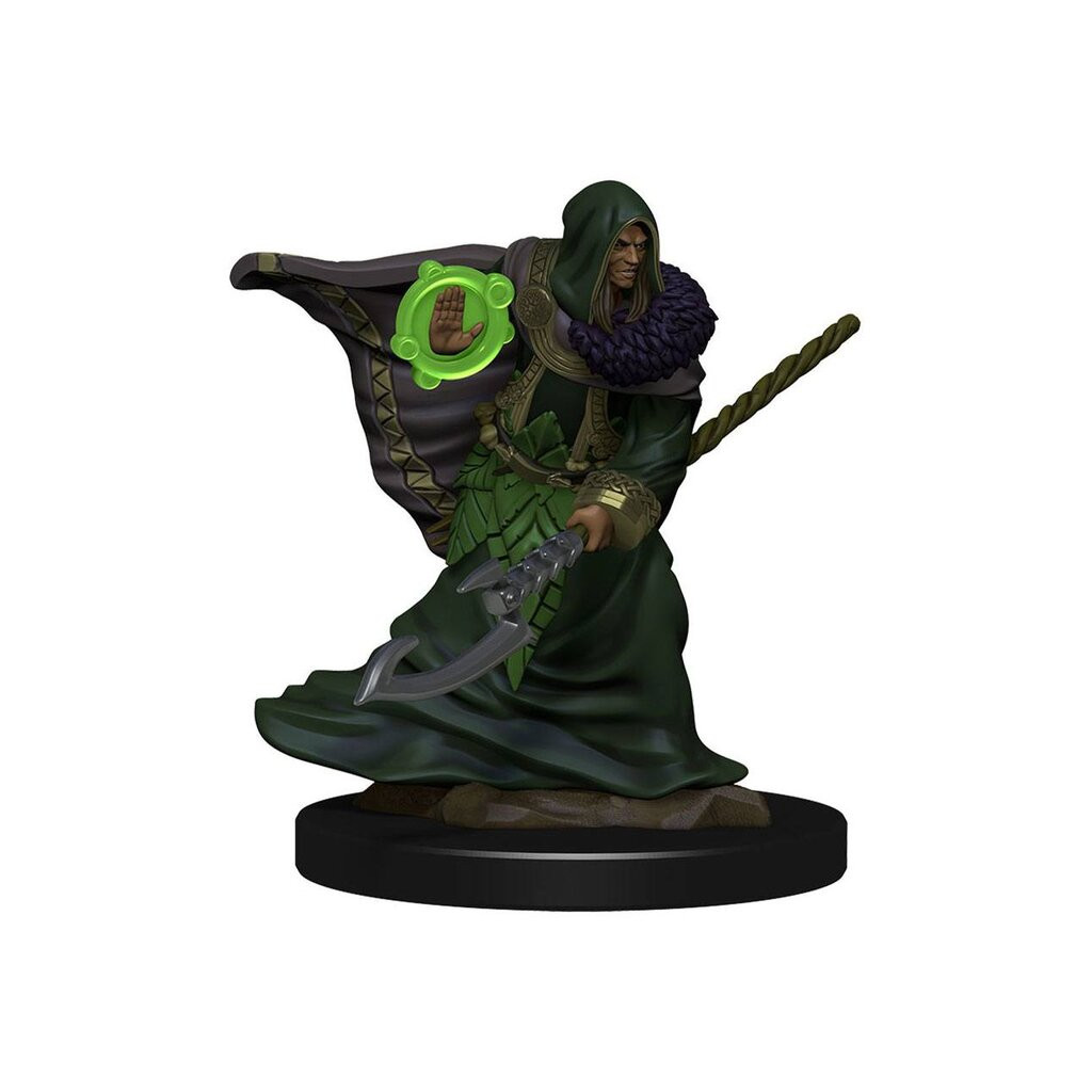 D&D Icons of the Realms Premium Figures - Elf Druid Male