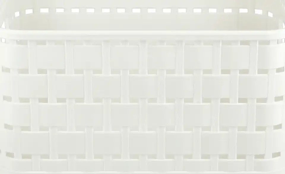 Rotho Aufbewahrungsbox 13,7 cm