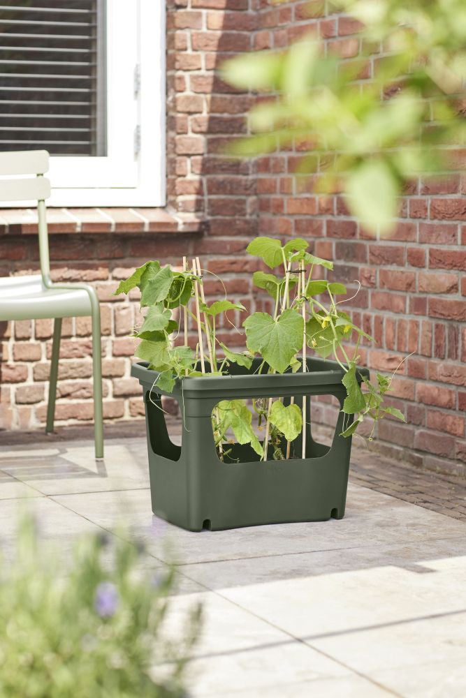 Elho kweekbak Green Basics groen 50,9 x 35,1 x 35,7 cm