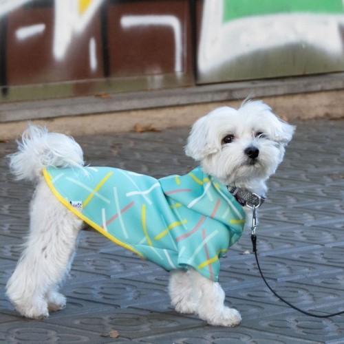 Suéter Neosticks Spark para cães, verde claro