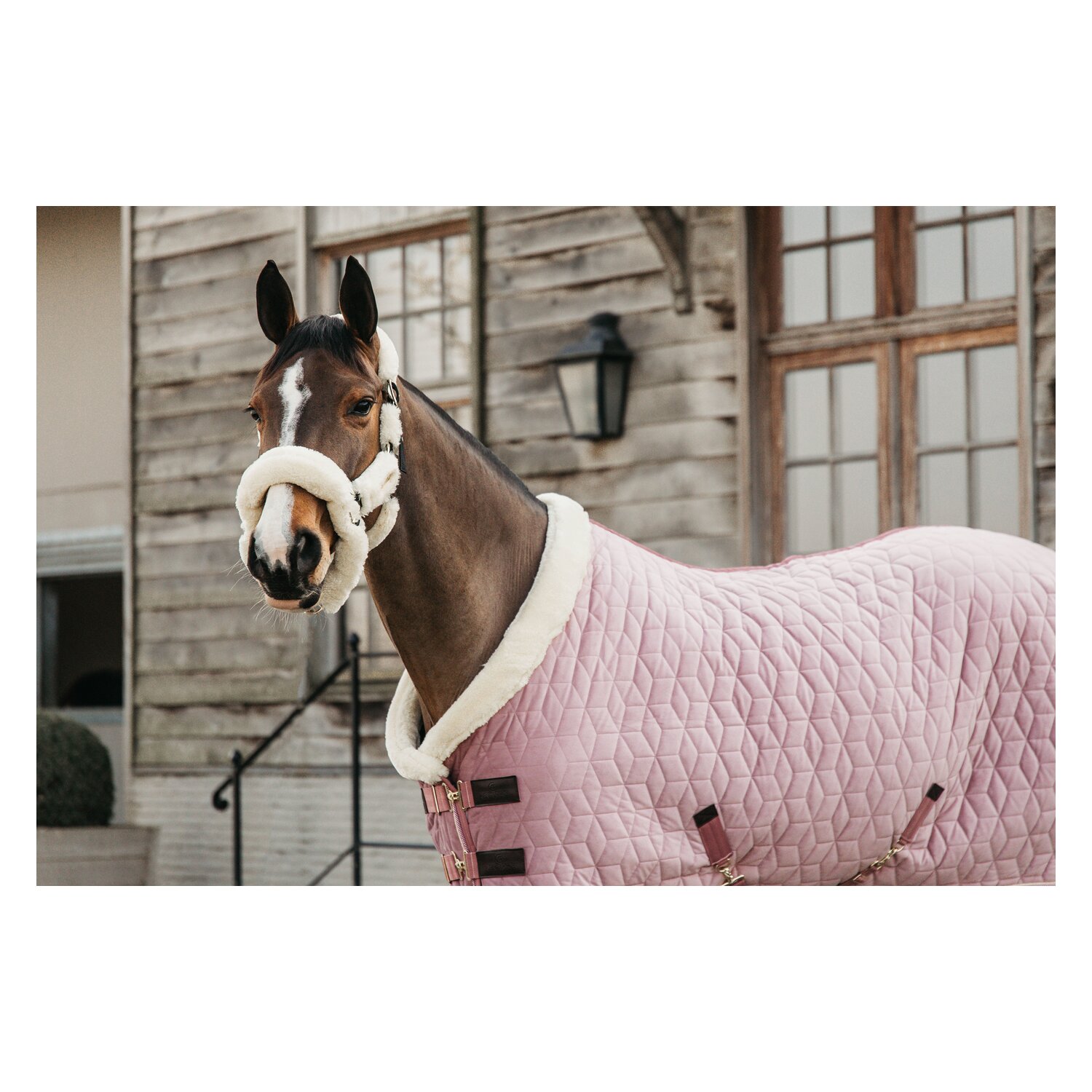 KENTUCKY Show Rug Velvet  - old rose