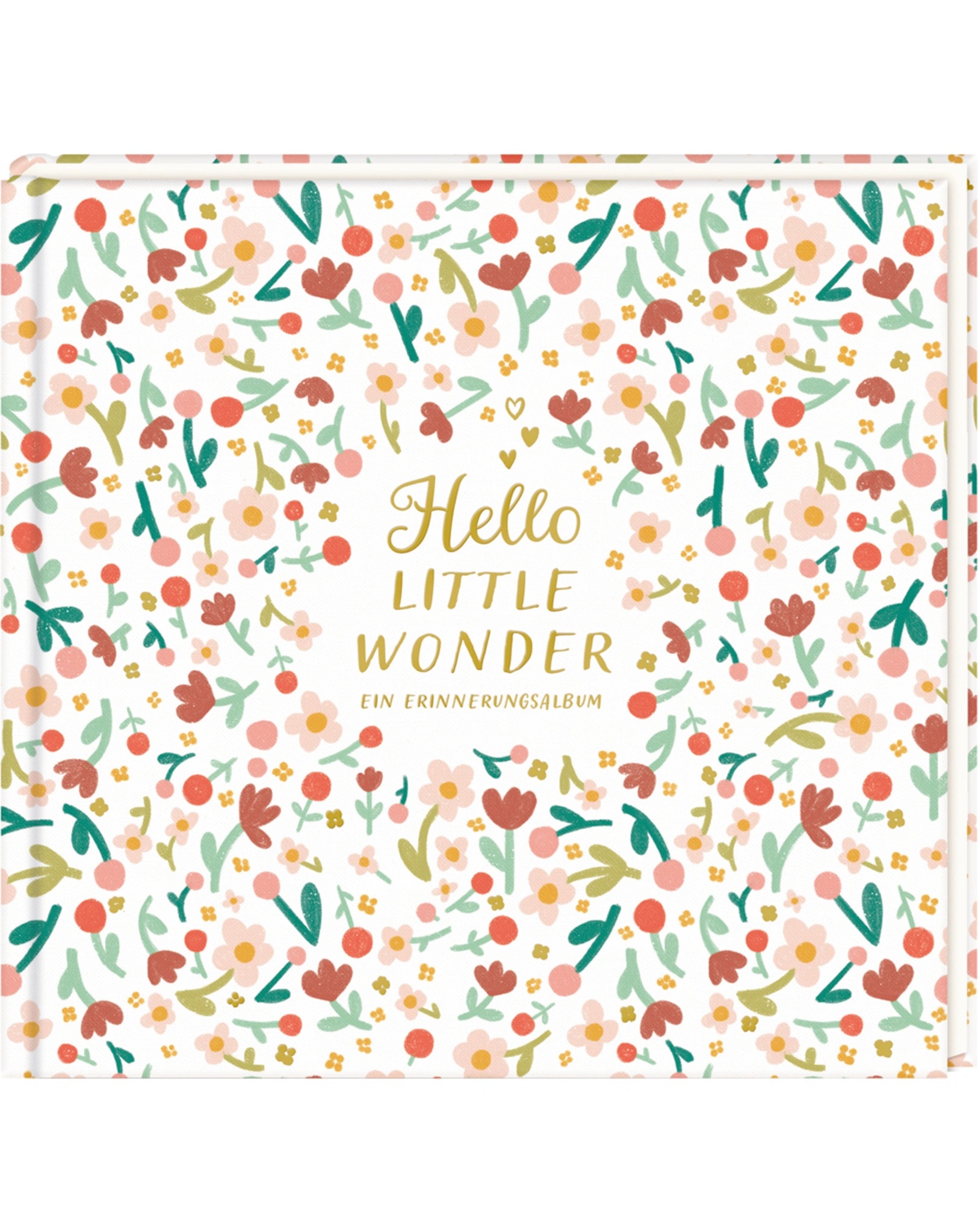 Familienalbum HELLO LITTLE WONDER