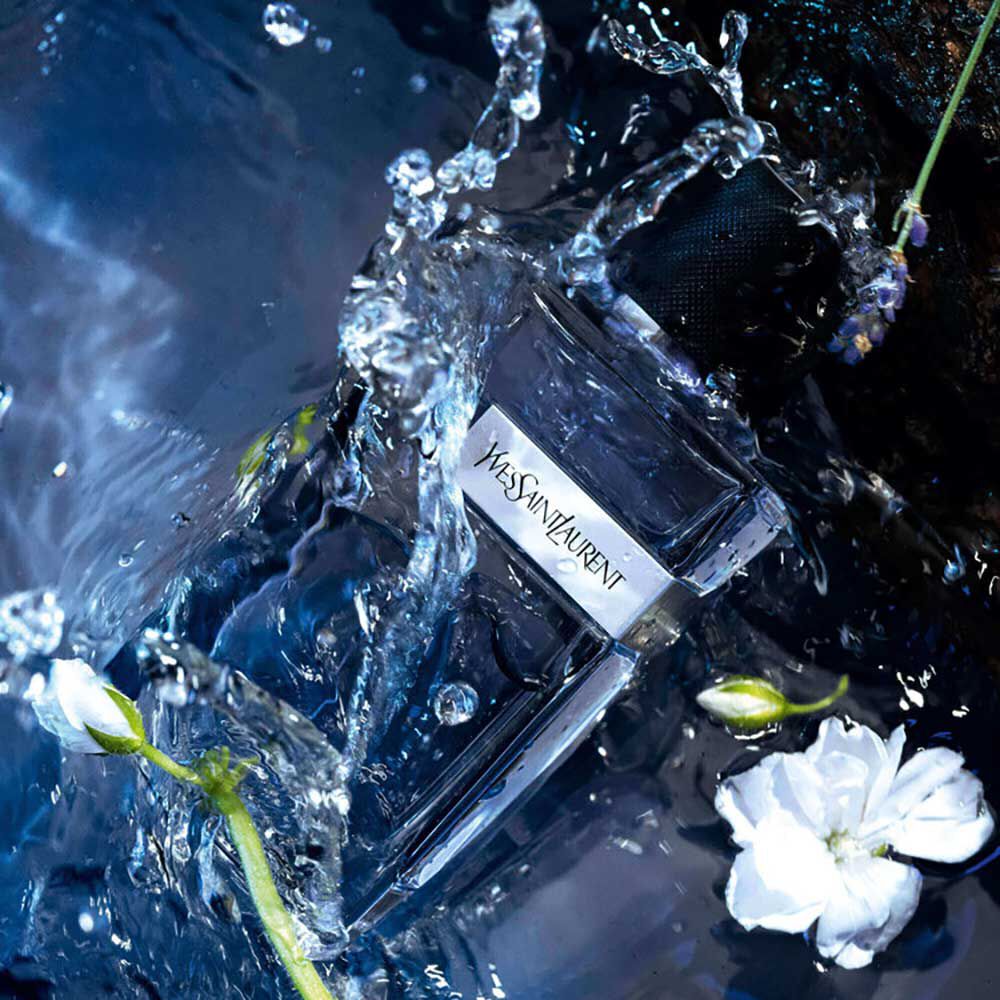 Y Eau De Toilette  Fougère - Absolu De Géranium