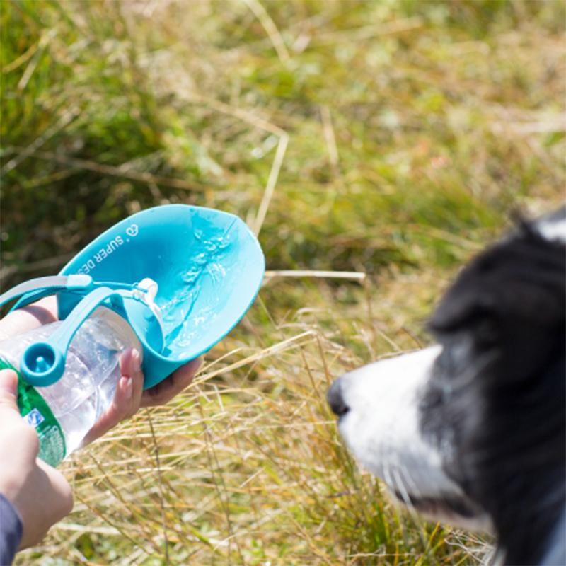 (580ml) Tragbarer Hunde Wasserspender Trinknapf Wasserflasche mit Trageschlaufe - Türkis / Transparent