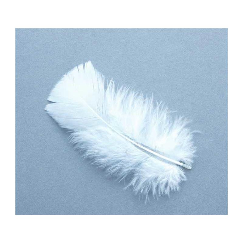 Plume De Dinde Tof