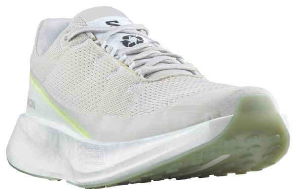 Chaussures de Running Femme Salomon Index 2.0 Gris/Blanc